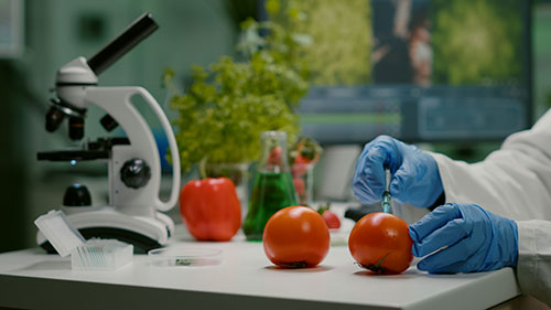 Lab Research